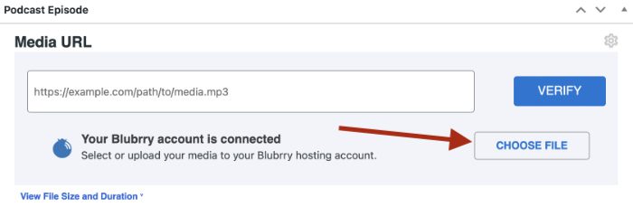 screenshot of Podcast Episode box with red arrow pointing at the Choose File button