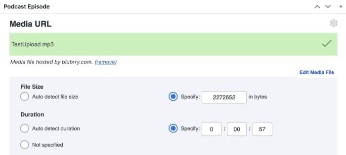 screenshot of media verification of media Uploader within PowerPress