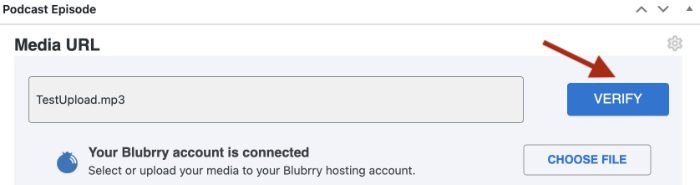 screenshot of Podcast Episode box with red arrow pointing at Verify button